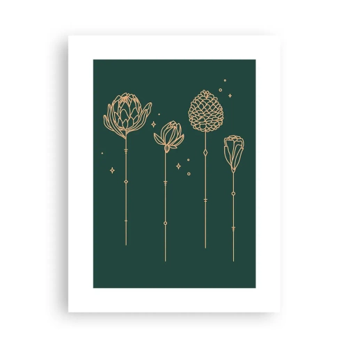 Plagát - Bylinky - 30x40 cm