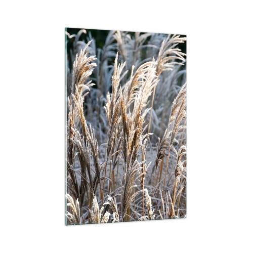 Obraz na skle - Mrazom pokryté - 70x100 cm