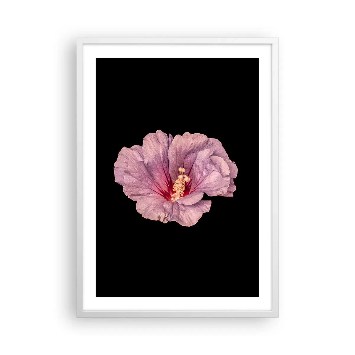 Plagát v bielom ráme - Priamo do srdca - 50x70 cm