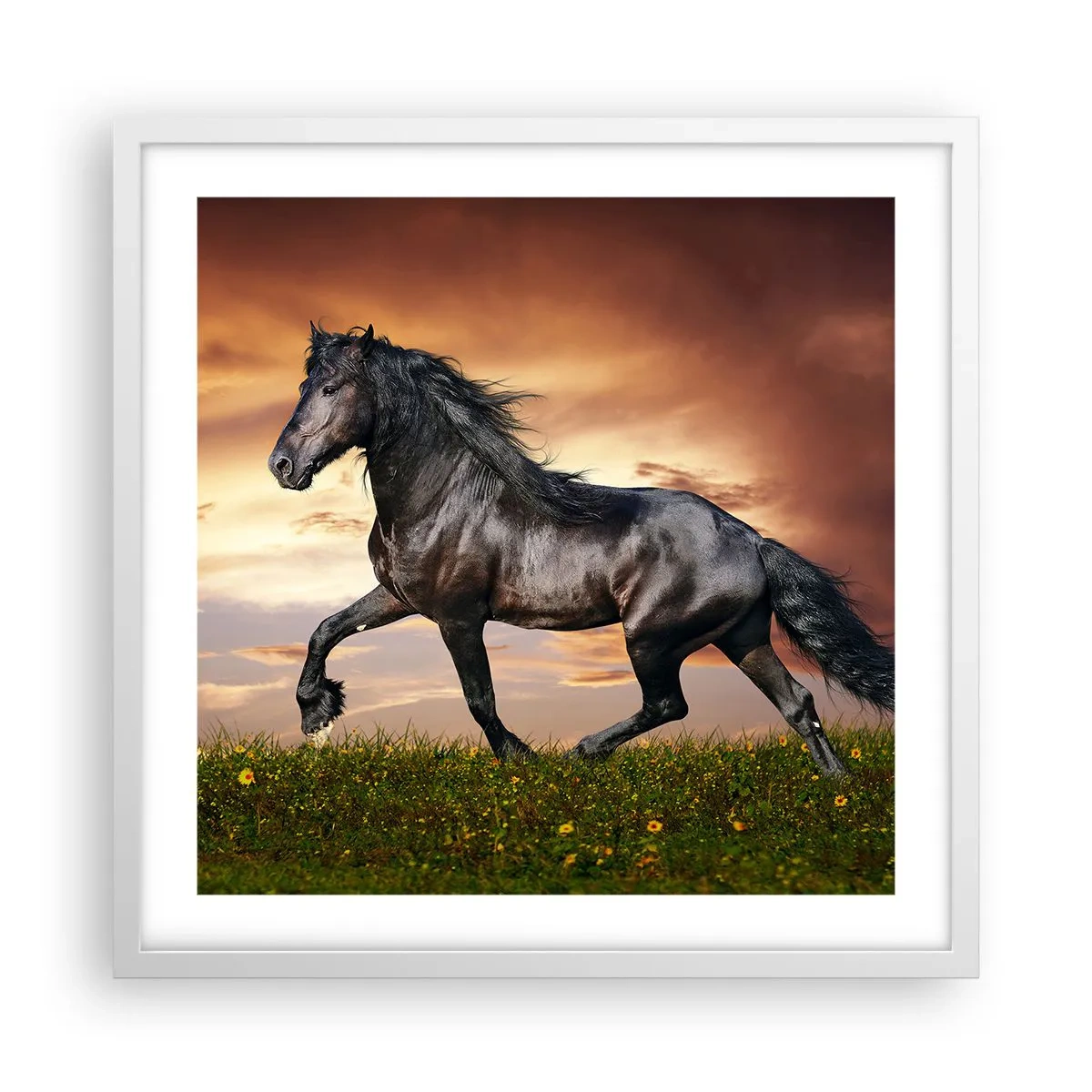 Plagát v bielom ráme - Čierny knieža - 50x50 cm