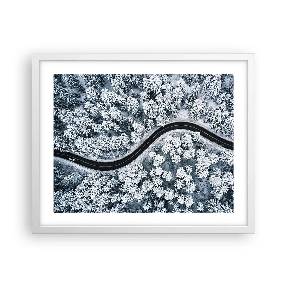 Plagát v bielom ráme - Zimným lesom - 50x40 cm