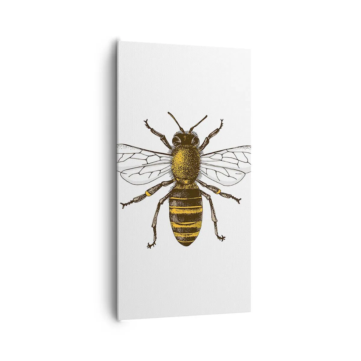 Obraz na plátne - Krásna a dobrá - 65x120 cm