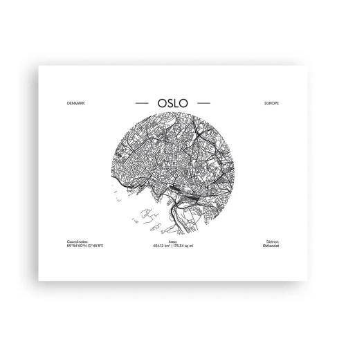 Plagát - Anatómia Osla - 50x40 cm
