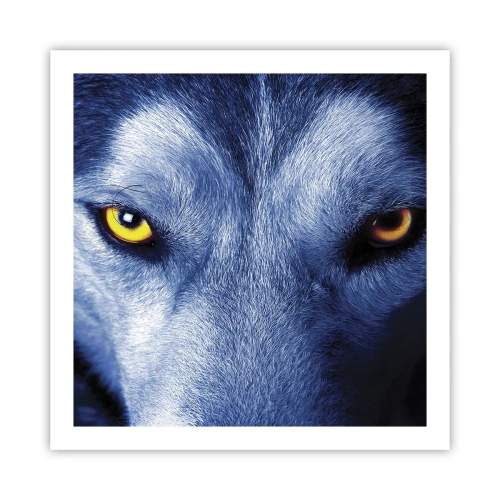 Plagát - Fascinujúci pohľad - 60x60 cm