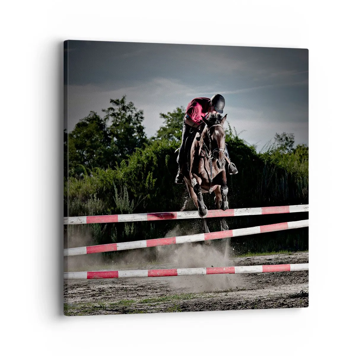 Obraz na plátne - Spoločne pre víťazstvo - 40x40 cm