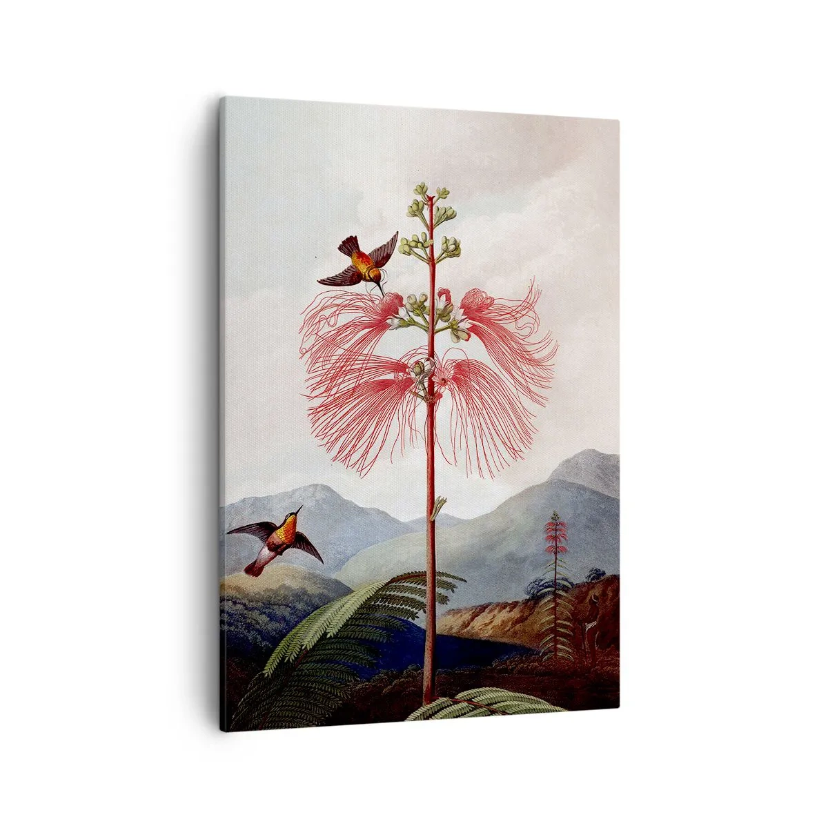 Obraz na plátne - V tropickom raji - 50x70 cm