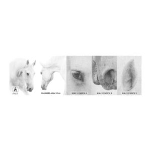 Vzorka fototapety Premium Canvas - Je to priateľstvo…? - Kone, Príroda, Zvieratá - 100x30 cm
