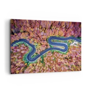 Obraz na plátne - Kľukatá cesta lesom - 120x80 cm