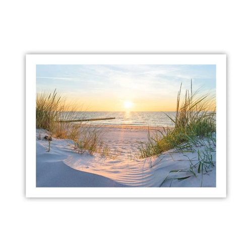 Plagát - Šumenie mora, spev vtákov, divoká pláž uprostred trávy… - 70x50 cm