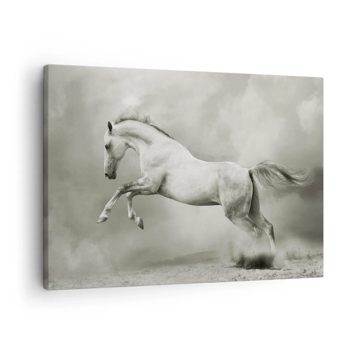 Obraz na plátne - Biely kôň v dynamickom skoku na pozadí hmlistých oblakov. - 70x50cm - Medzi bdením a snom - Moderná nástenná dekorácia do obývacej izby a spálne ARTTOR