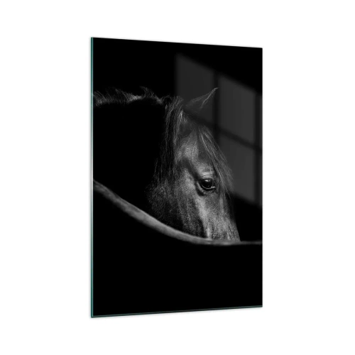 Obraz na skle - Čierny knieža - 70x100 cm