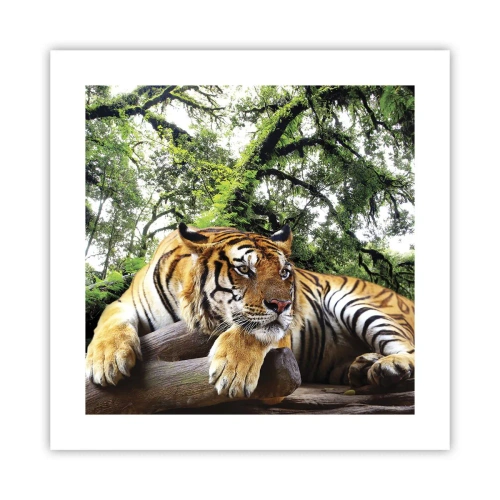 Plagát - S úctou - 40x40 cm