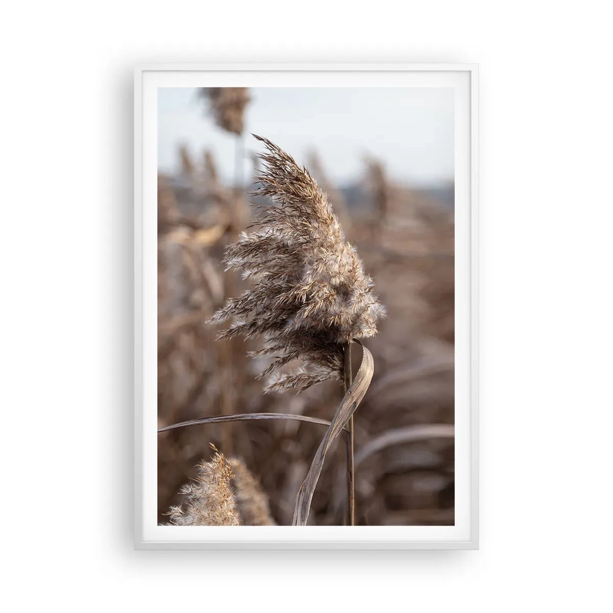 Plagát v bielom ráme - Čas odletieť s vetrom - 70x100 cm