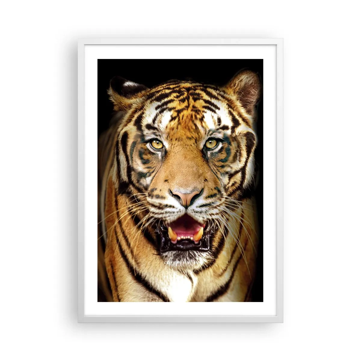 Plagát v bielom ráme - Divokosť v srdci - 50x70 cm