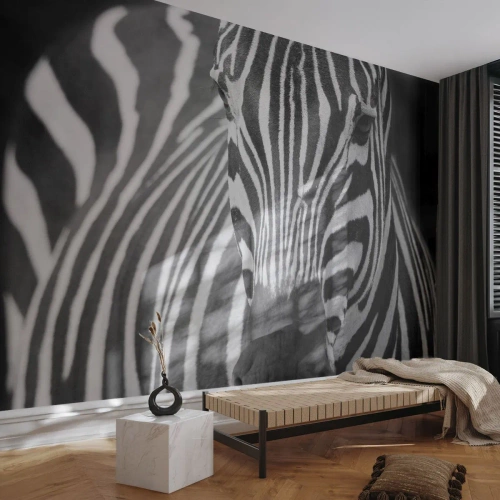 Fototapeta Premium Canvas - Svet je čierno-biely - Zvieratá, Rebrá, Čierna a biela - 300x210 cm