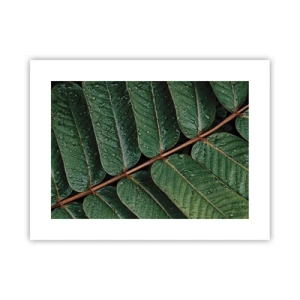 Plagát - V zelenom rytme - 40x30 cm