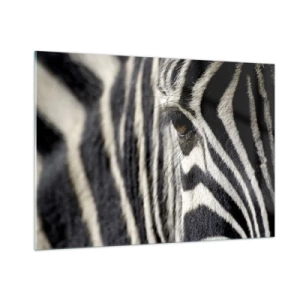 Obraz na skle - Portrét s pruhmi - 100x70 cm