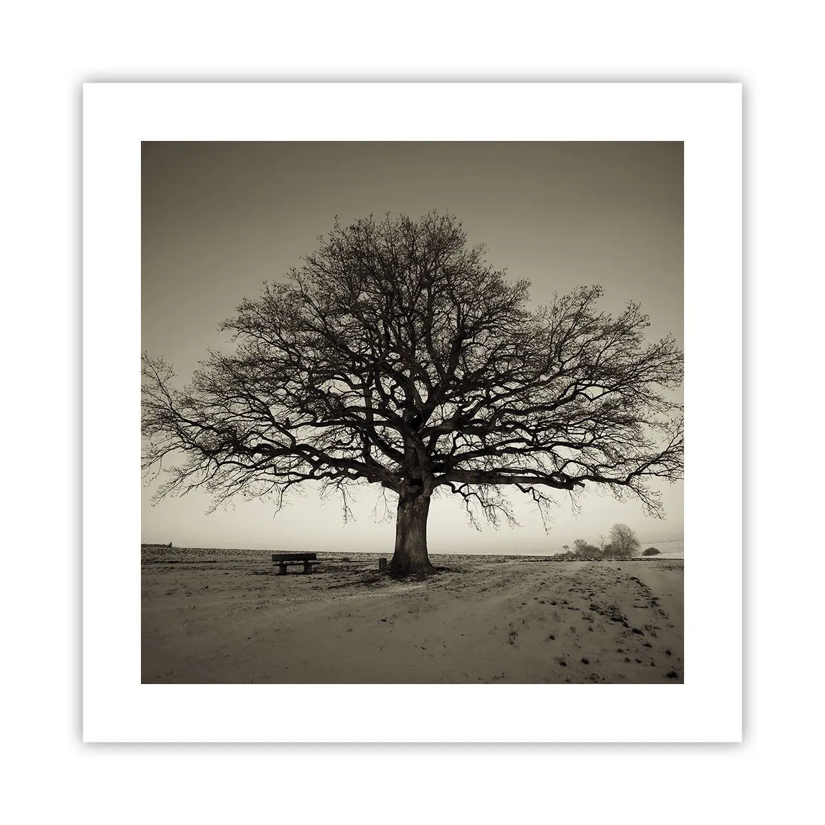 Plagát - Odtiaľ až do večnosti - 40x40 cm