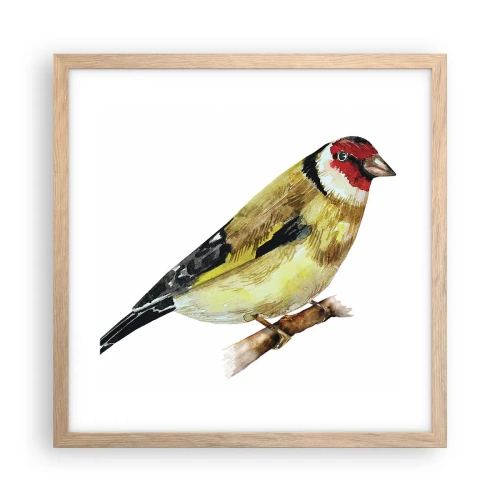 Plagát v ráme zo svetlého duba - Vtáčí portrét - 40x40 cm