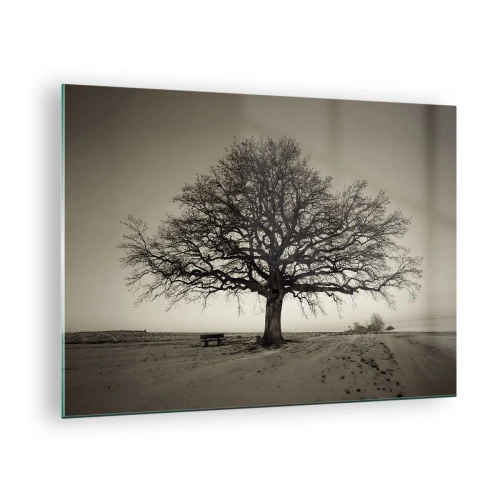 Obraz na skle - Osamelý strom v monochromatickej krajine - 70x50cm - Odtiaľ až do večnosti - Moderná nástenná dekorácia do obývacej izby a spálne ARTTOR