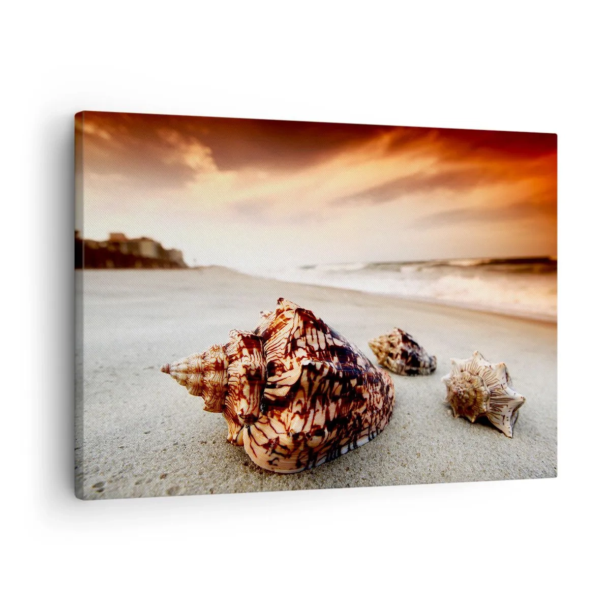 Obraz na plátne - Mušle na pláži pri západe slnka - 70x50cm - Vyhnankyne vĺn - Moderná nástenná dekorácia do obývacej izby a spálne ARTTOR
