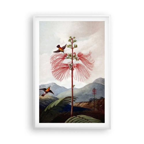 Plagát v bielom ráme - V tropickom raji - 61x91 cm