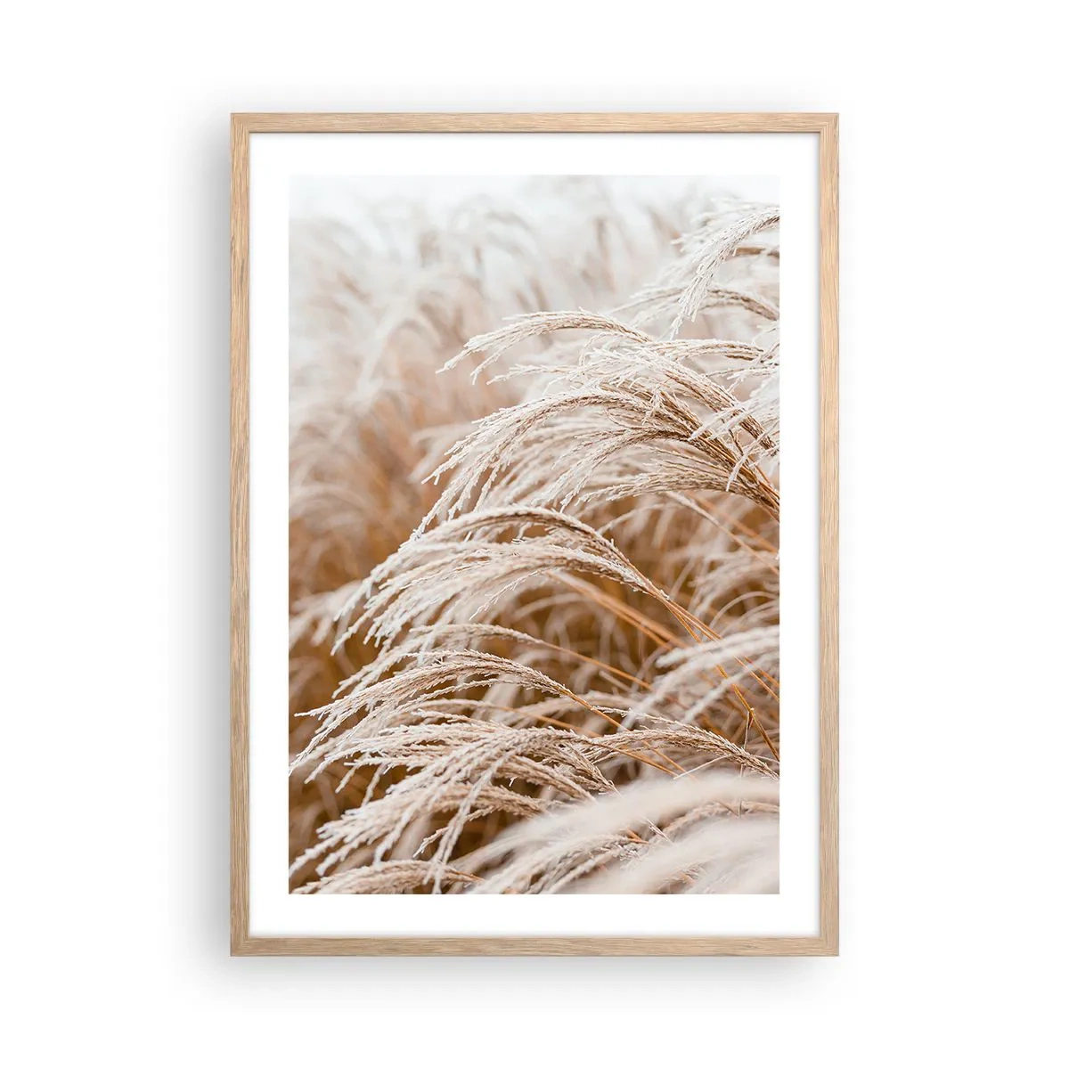 Plagát v ráme zo svetlého duba - Klanenie jesennému slnku - 50x70 cm