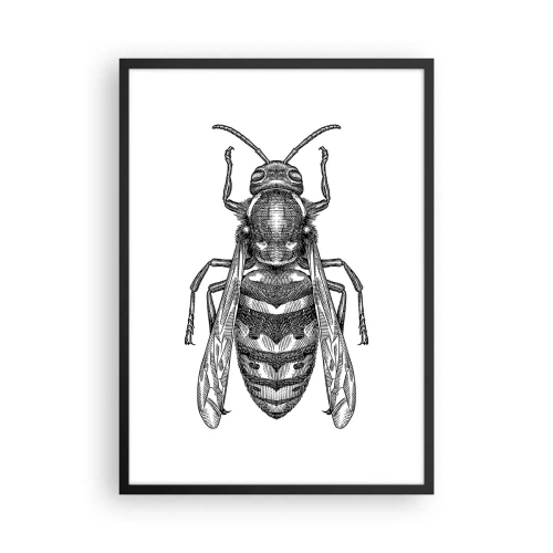 Plagát v čiernom ráme - Podrobná ilustrácia osy - 50x70cm - Z hmyzej planéty - Moderná nástenná dekorácia do obývacej izby a spálne ARTTOR