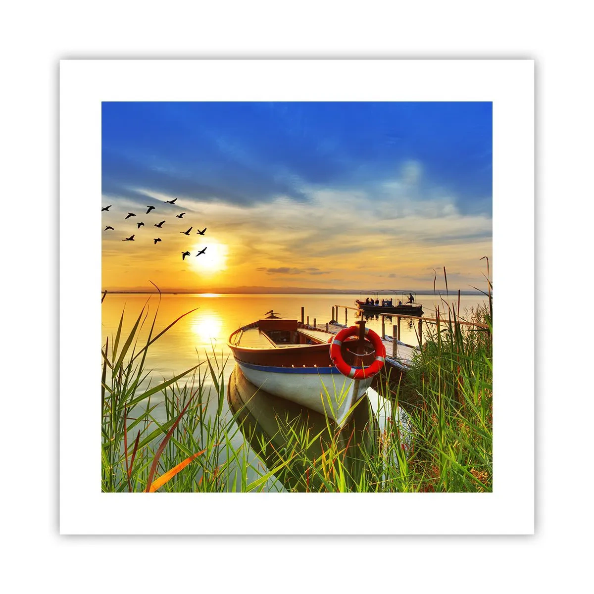 Plagát - Kormorány už odlietajú - 40x40 cm