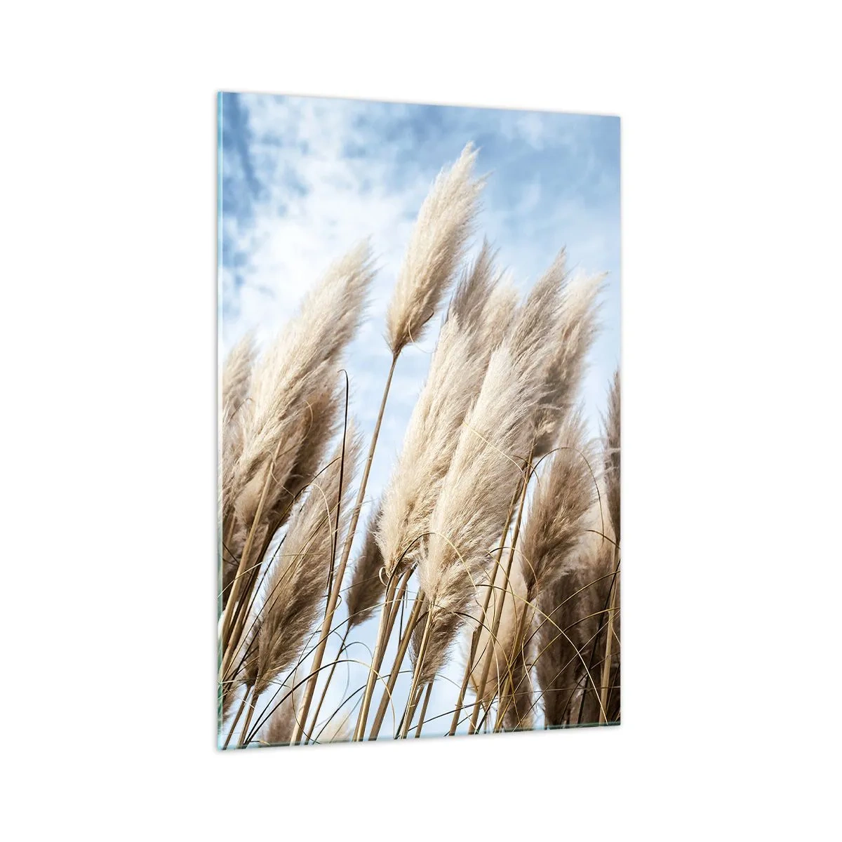 Obraz na skle - Slnečné a veterné pohladenie - 70x100 cm