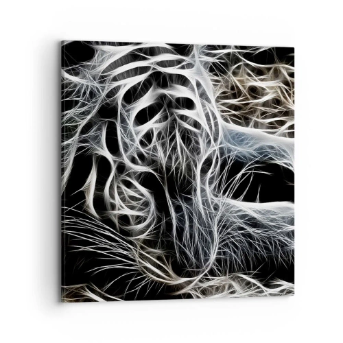 Obraz na plátne - Štúdia mačacej ľahkosti - 70x70 cm