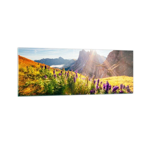 Obraz na skle - Tajomný život bylín - 140x50 cm