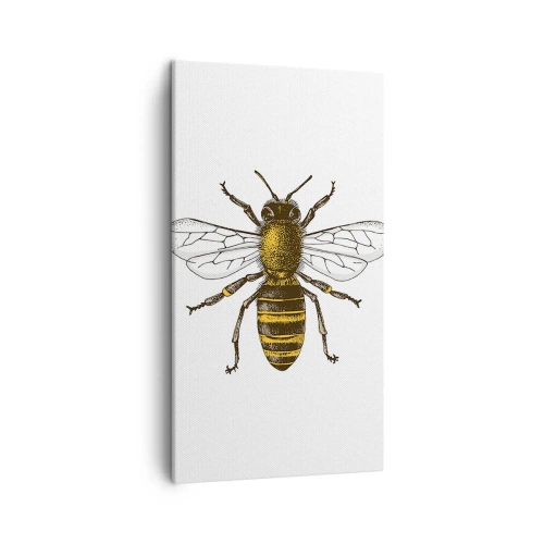 Obraz na plátne - Krásna a dobrá - 45x80 cm