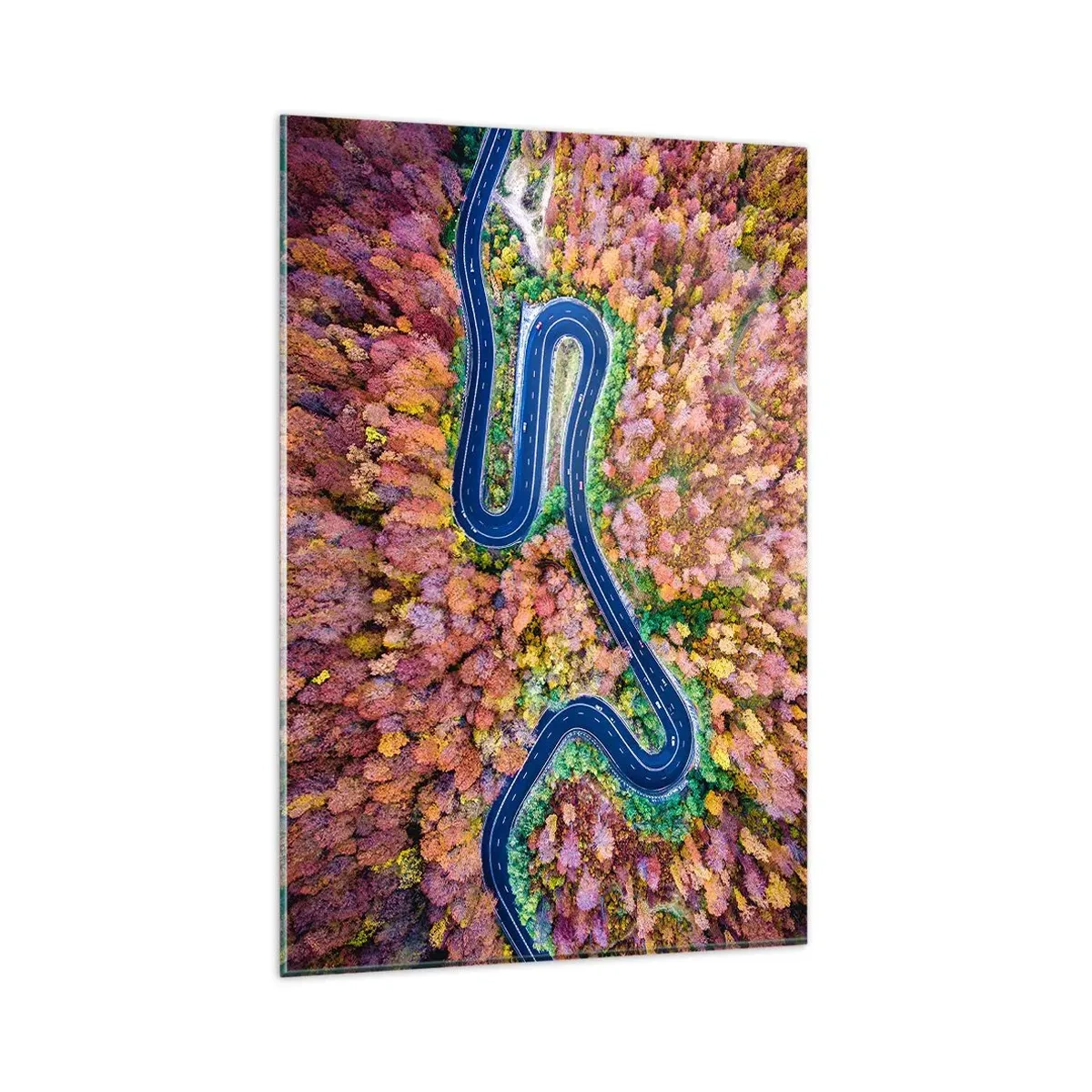 Obraz na skle - Kľukatá cesta lesom - 80x120 cm