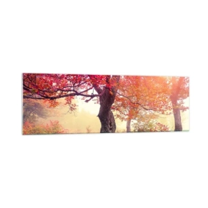 Obraz na skle - Šialenstvo rozkvetu - 160x50 cm