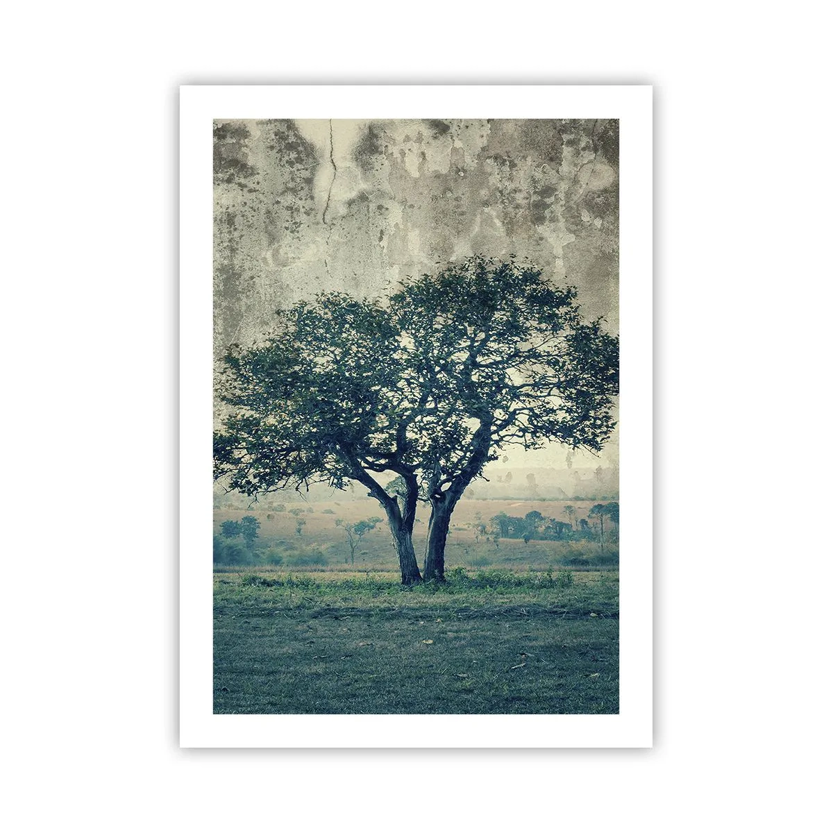Plagát - Jabloň na modrom poli? - 50x70 cm