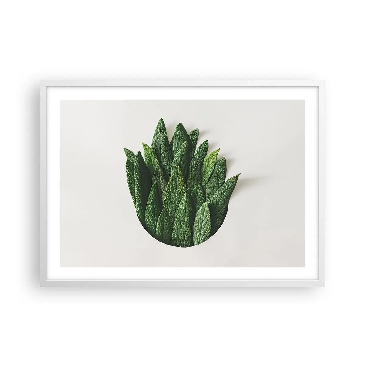 Plagát v bielom ráme - Neukojiteľná zvedavosť - 70x50 cm