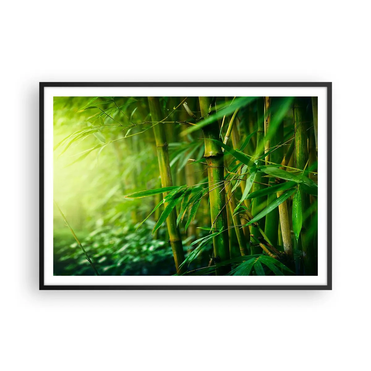Plagát v čiernom ráme - Poznať samotnú zeleň - 100x70 cm