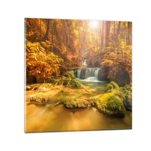 Obraz na skle - Lesný vodopád v zlate - 70x70 cm