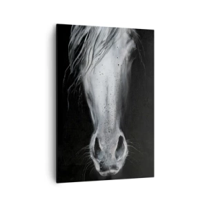 Obraz na plátne - Zvodný pohľad - 70x100 cm