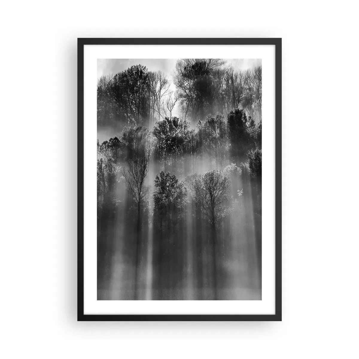 Plagát v čiernom ráme - Čiernobiely les v hmle so slnečnými lúčmi - 50x70cm - V lúčoch svetla - Moderná nástenná dekorácia do obývacej izby a spálne ARTTOR