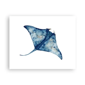 Plagát - Modrý život - 50x40 cm