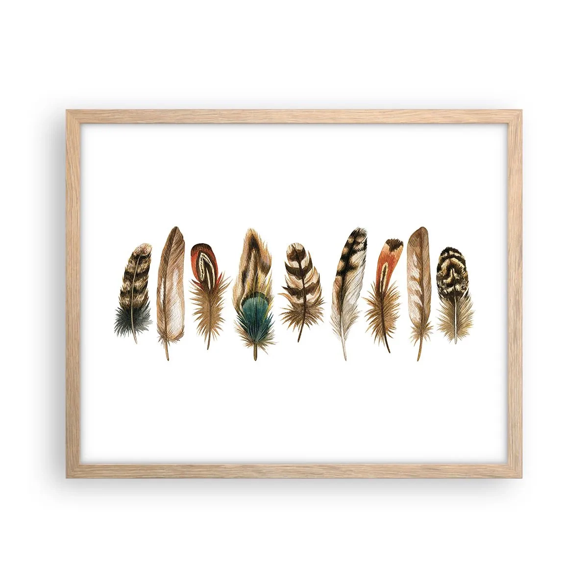 Plagát v ráme zo svetlého duba - Operená variácia - 50x40 cm