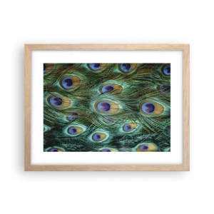 Plagát v ráme zo svetlého duba - Páví pohľad - 40x30 cm
