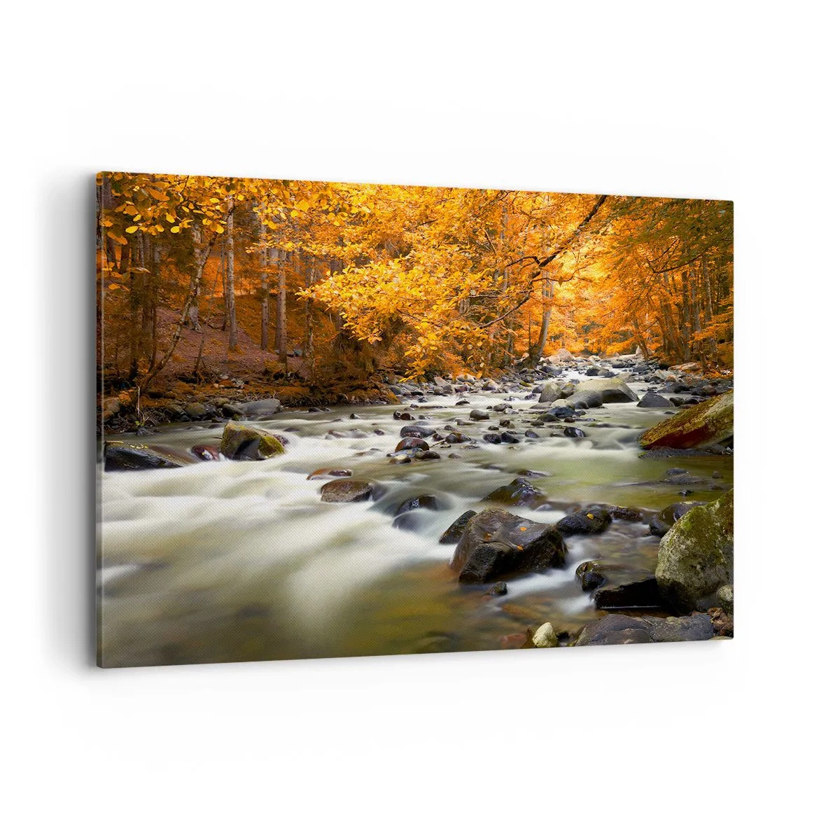 Obraz na plátne - Potok v zlatom lese - 120x80 cm