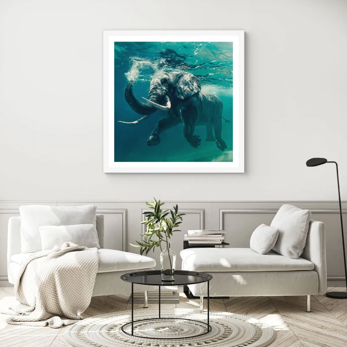 Plagát v bielom ráme - Všetci radi plávajú - 50x50 cm