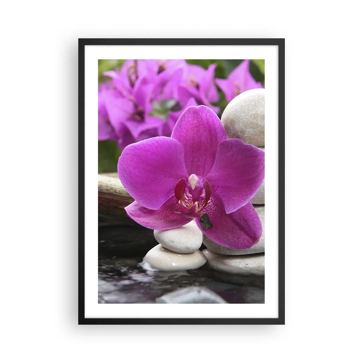 Plagát v čiernom ráme - Fialová orchidea na pozadí kameňov v harmonickom aranžmáne - 50x70cm - Už odpočívaš - Moderná nástenná dekorácia do obývacej izby a spálne ARTTOR