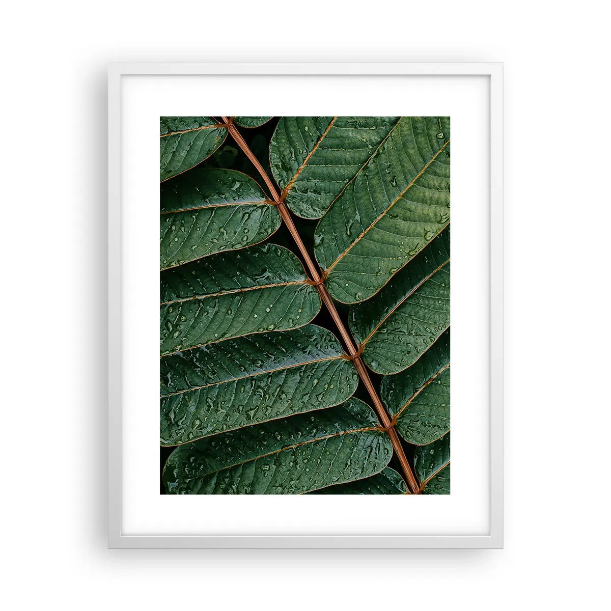 Plagát v bielom ráme - V zelenom rytme - 40x50 cm