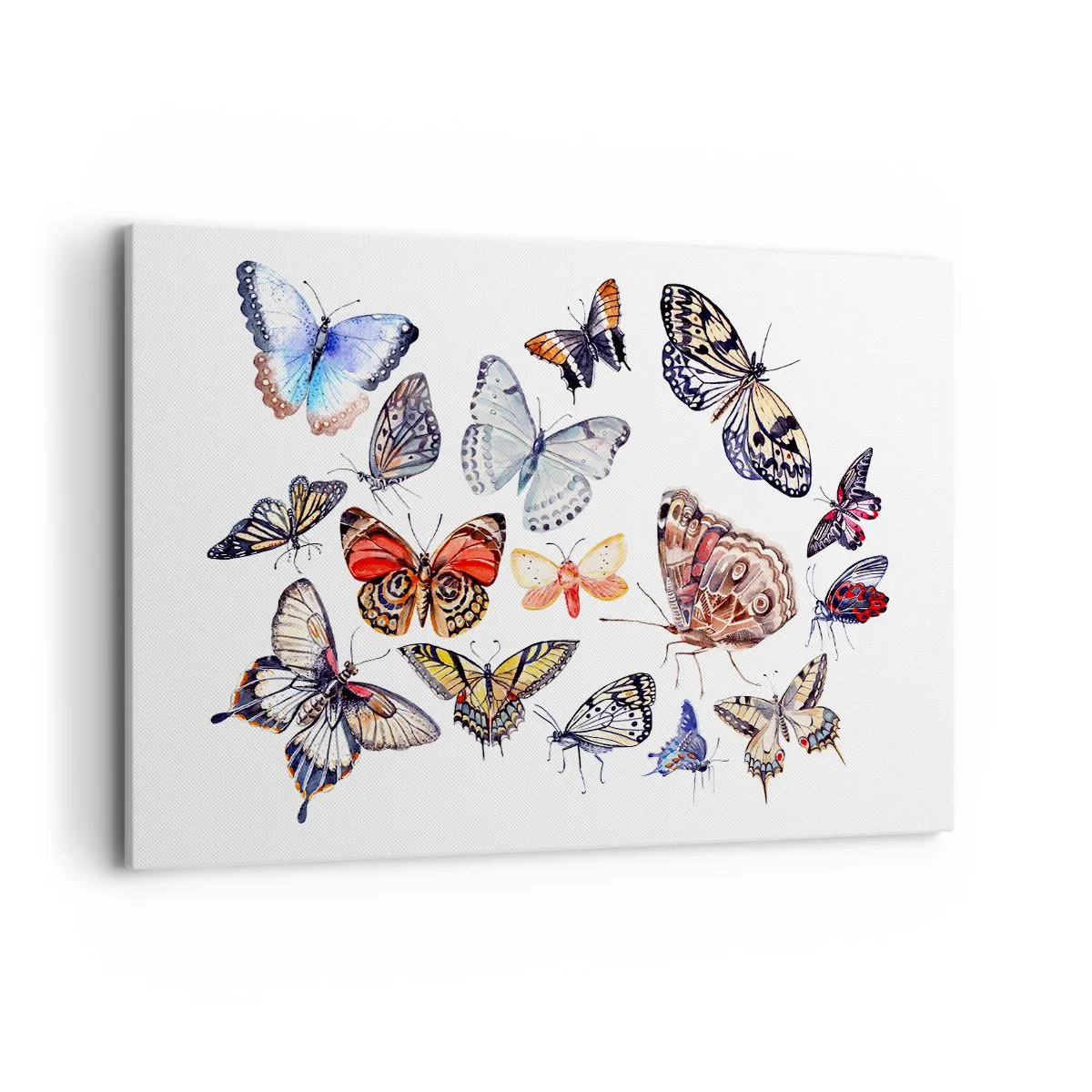 Obraz na plátne - Čipkový, farebný roj - 120x80 cm