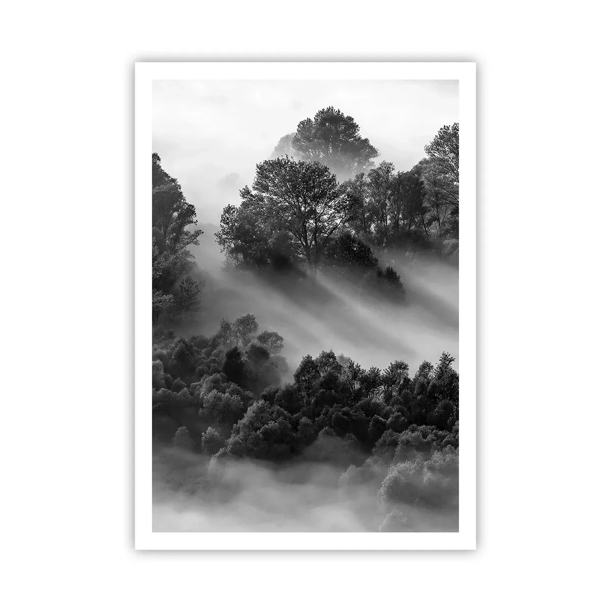 Plagát - Prebúdzanie zo spánku - 70x100 cm